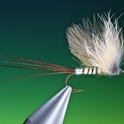 Fly-Tying-a-fur-hackle-mayfly-with-Barry-Ord-Clarke
