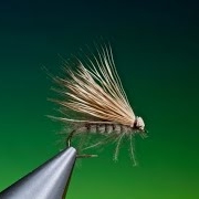 Fly-Tying-the-PDQ-CaddisSedge-with-Barry-Ord-Clarke