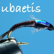 Jujubaetis-Fly-Tying-Instructions-Tied-by-Charlie-Craven