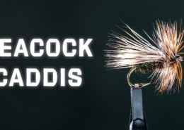 Peacock-Caddis-Dry-Fly-A-Simple-Trout-Fly-Fly-Tying-Tutorial