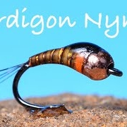 Perdigon-Nymph-Fly-Tying-Instructions-Tied-by-Charlie-Craven
