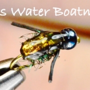 Tims-Water-Boatman-Stillwater-Lake-Fly-Tying-Instructions-Tied-by-Charlie-Craven