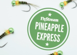 FlyStream-Effective-Flies-36-Pineapple-Express