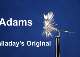 Adams-Dry-Fly-Original-Halladay-Version