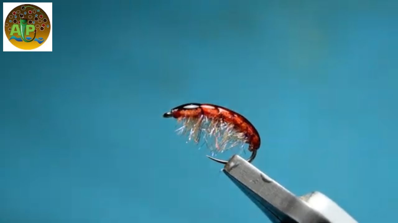 Fly-Tying-A-Brown-Scud-AP-Fly-Tying