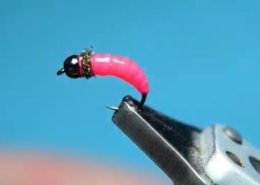 Fly-Tying-A-Pink-Grayling-Caddis-Bug