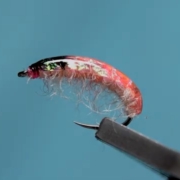 Fly-Tying-A-Yarn-Shrimp