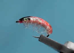 Fly-Tying-A-Yarn-Shrimp