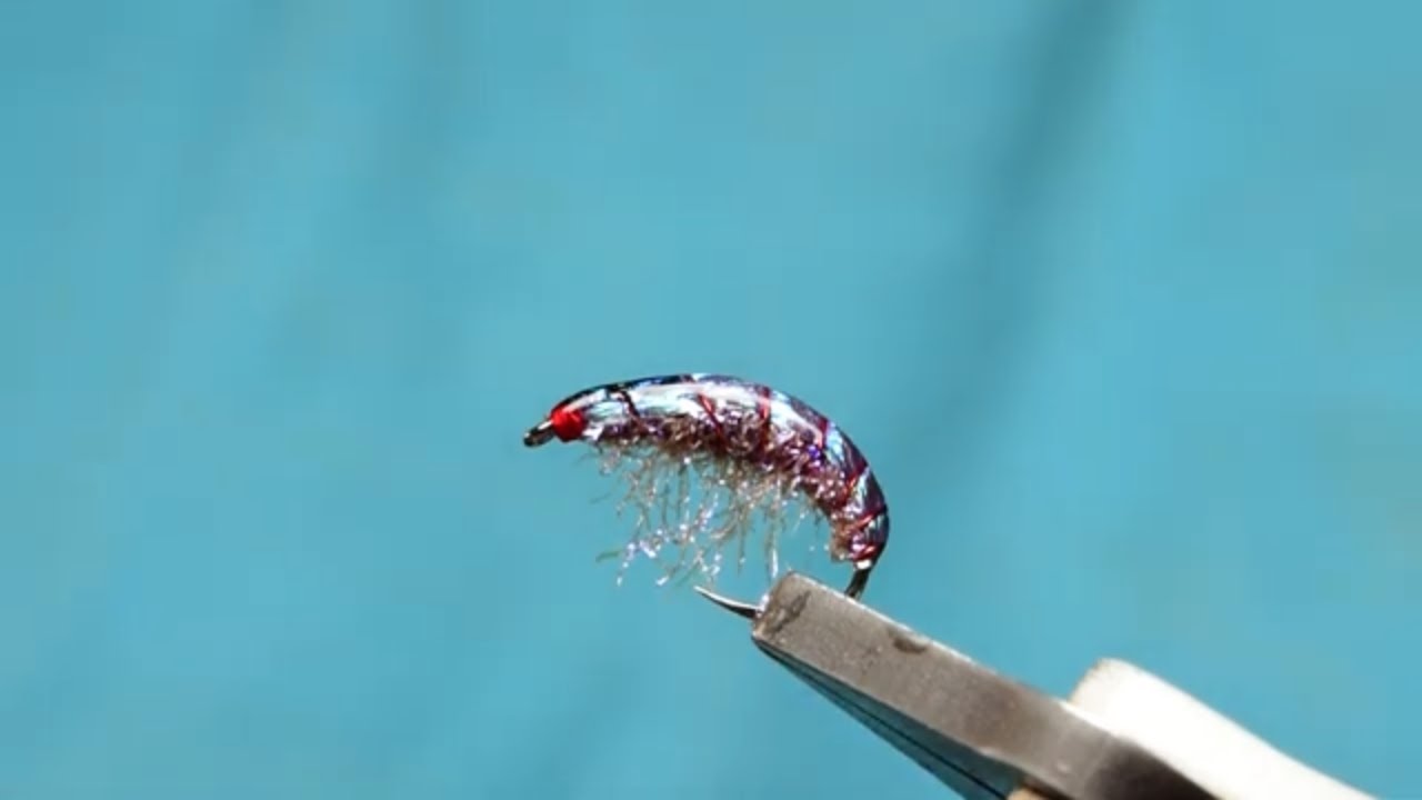 Fly-Tying-The-Duracell-Shrimp-AP-Fly-Tying