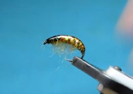 Fly-Tying-The-Pearly-Infected-Shrimp-AP-FLy-Tying