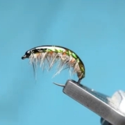 Fly-Tying-The-Tango-Rib-Shrimp