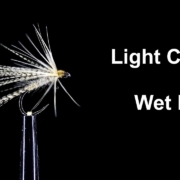 Light-Cahill-Wet-Fly