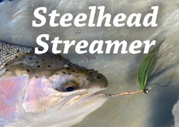 Steelhead-Streamer-Fly-Tying-Tutorial-4k