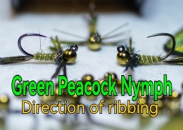 Green-Peacock-Nymph