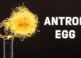 Antron-Egg-Nymph-Fly-Easy-to-Tie-amp-Very-Effective-Fly-Pattern-Tutorial