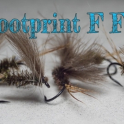Footprint-F-Fly-By-Michael-Olesen