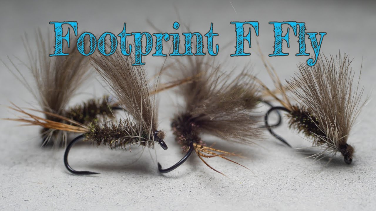 Footprint-F-Fly-By-Michael-Olesen