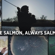Once-Salmon-Always-Salmon