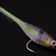 This-Is-a-Top-Color-Combo-In-Bass-Fishing-Sexy-Shad-Baby-Fat-Minnow-Fly-Tying-Tutorial