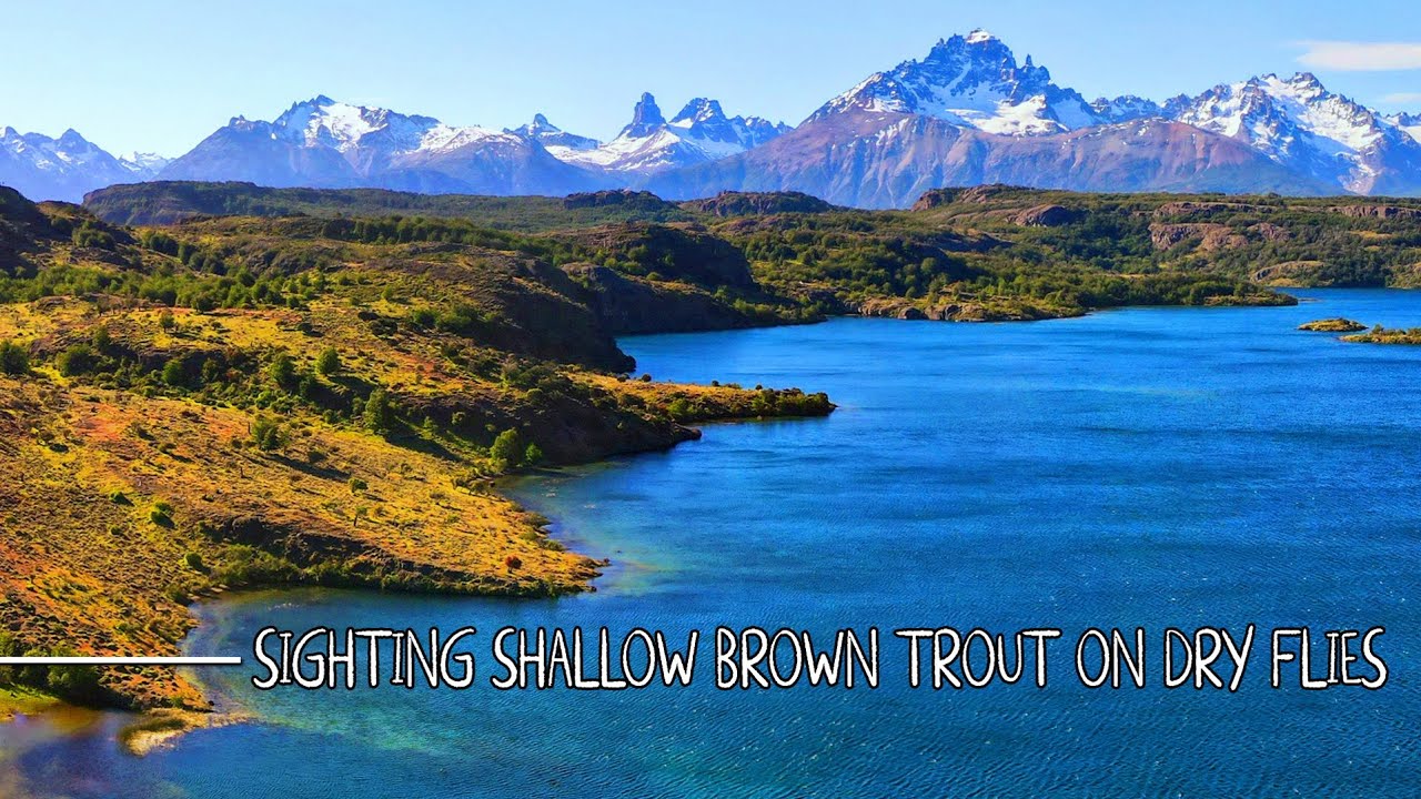 Sight-Fishing-with-DRY-FLIES-for-Brown-Trout-Along-Crystal-Clear-Patagonia-Lakes