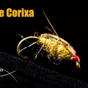 Sparkle-Corixa-stillwater-fly-tying-tutorial