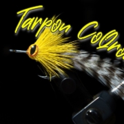 Tarpon-CoQroach