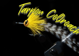 Tarpon-CoQroach