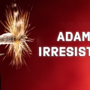 Adams-Irresistible-Fly-Pattern-A-Popular-Dry-Fly-Fly-Tying-Tutorial