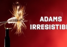 Adams-Irresistible-Fly-Pattern-A-Popular-Dry-Fly-Fly-Tying-Tutorial