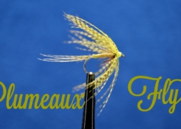 Plumeaux-Fly-Feather-Duster-Green-Drake-fly-from-France