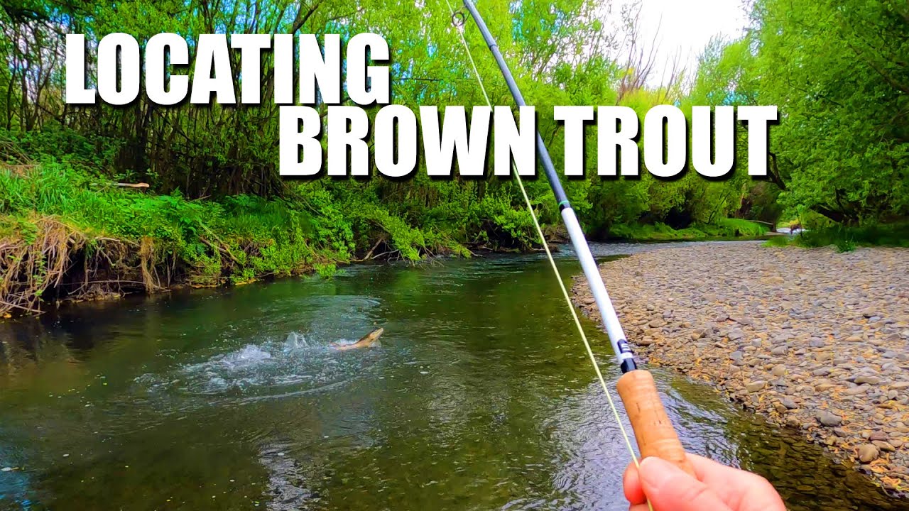 Understanding-amp-Locating-Brown-Trout-in-a-Stream-amp-How-to-Catch-Them-POV
