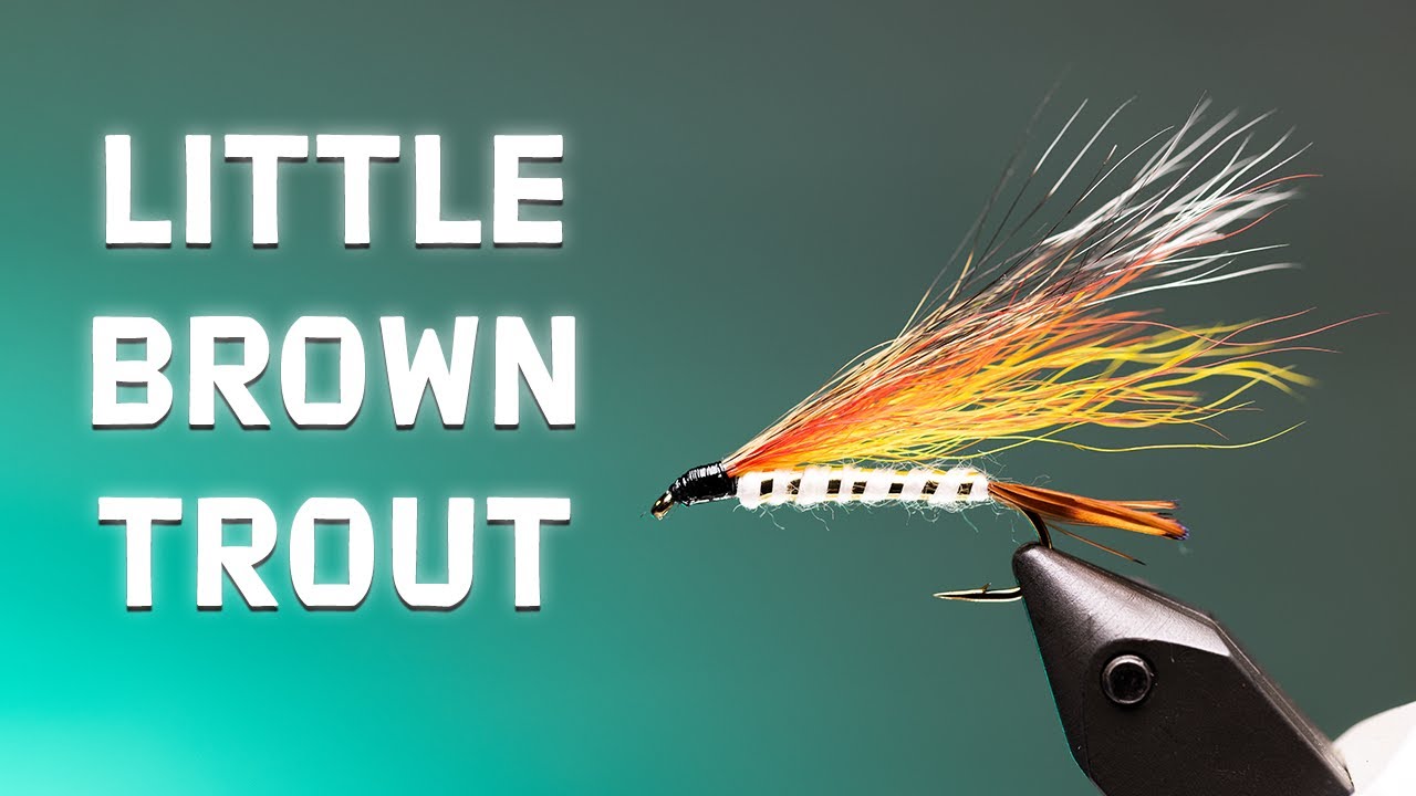 Little-Brown-Trout-Streamer-Fly-CRUSH-TROUT-Fly-Tying-Tutorial