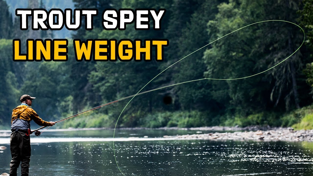Mastering Line Weight for Trout Spey Fly Rods 