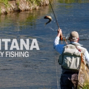 Spring-Creek-FLY-FISHING-BIG-FISH-Knee-Deep-in-Montanas-Madison-Valley