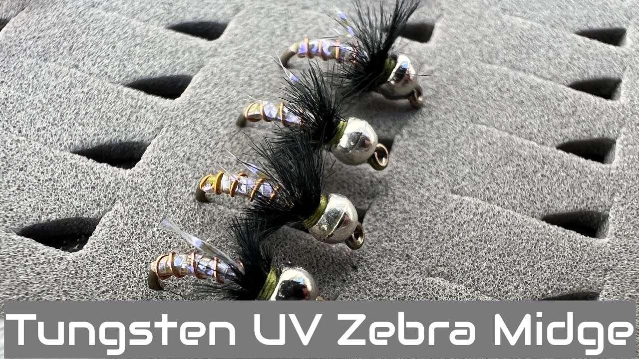 Tie-the-Tungsten-UV-Zebra-Midge-and-Outfish-Your-Friends