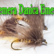 Ephemera-Danica-Emerger