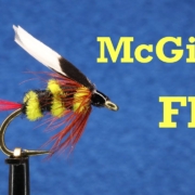 McGinty-Fly-Hemingway-Favorite