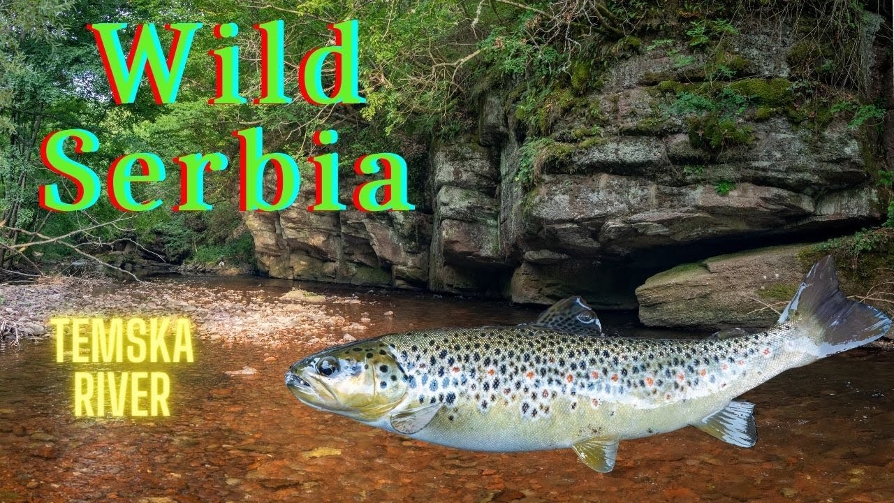 Wild-Serbia-Fly-Fishing-river-Temska