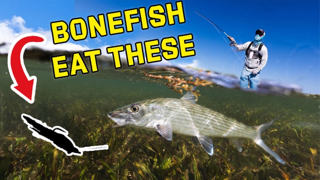 Top-10-MUST-HAVE-Flies-for-Fly-Fishing-The-Bahamas