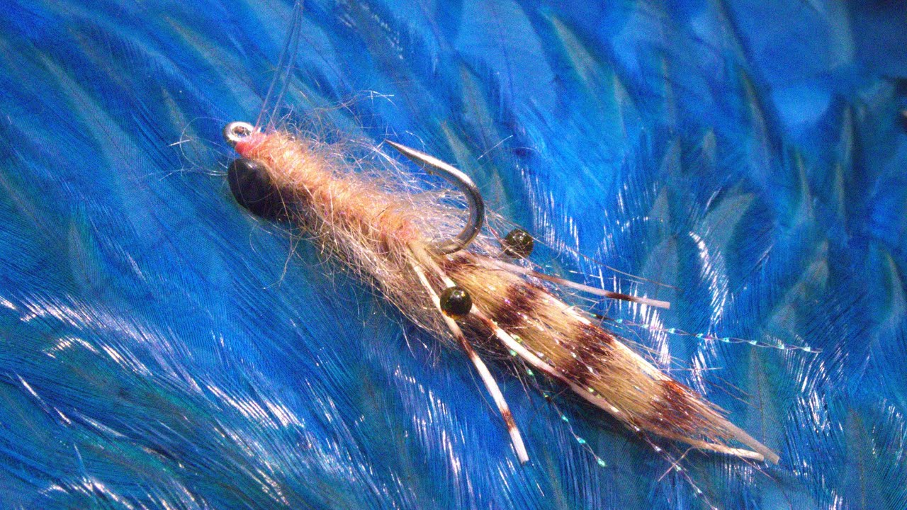 Fly-Tying-A-Fuzzy-Shrimp-with-Martyn-White