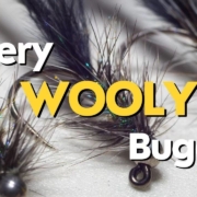 Wooly-Bugger