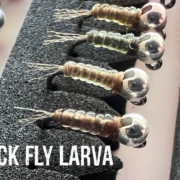 Black-Fly-Larva-Fly-Tying-Video-4K-Tungsten-Jig-Nymph-for-Picky-Trout-Quick-and-Easy-to-Tie