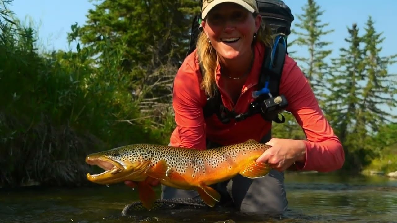 Breaking-Down-a-TINY-Brown-Trout-Spring-Creek-PART-1
