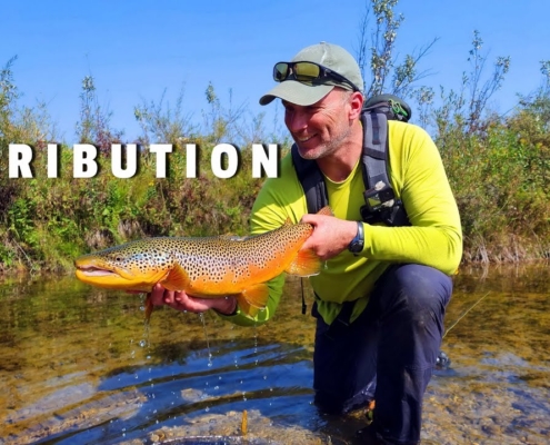 Breaking-Down-a-TINY-Brown-Trout-Spring-Creek-PART-2-Dave-EXACTS-REVENGE
