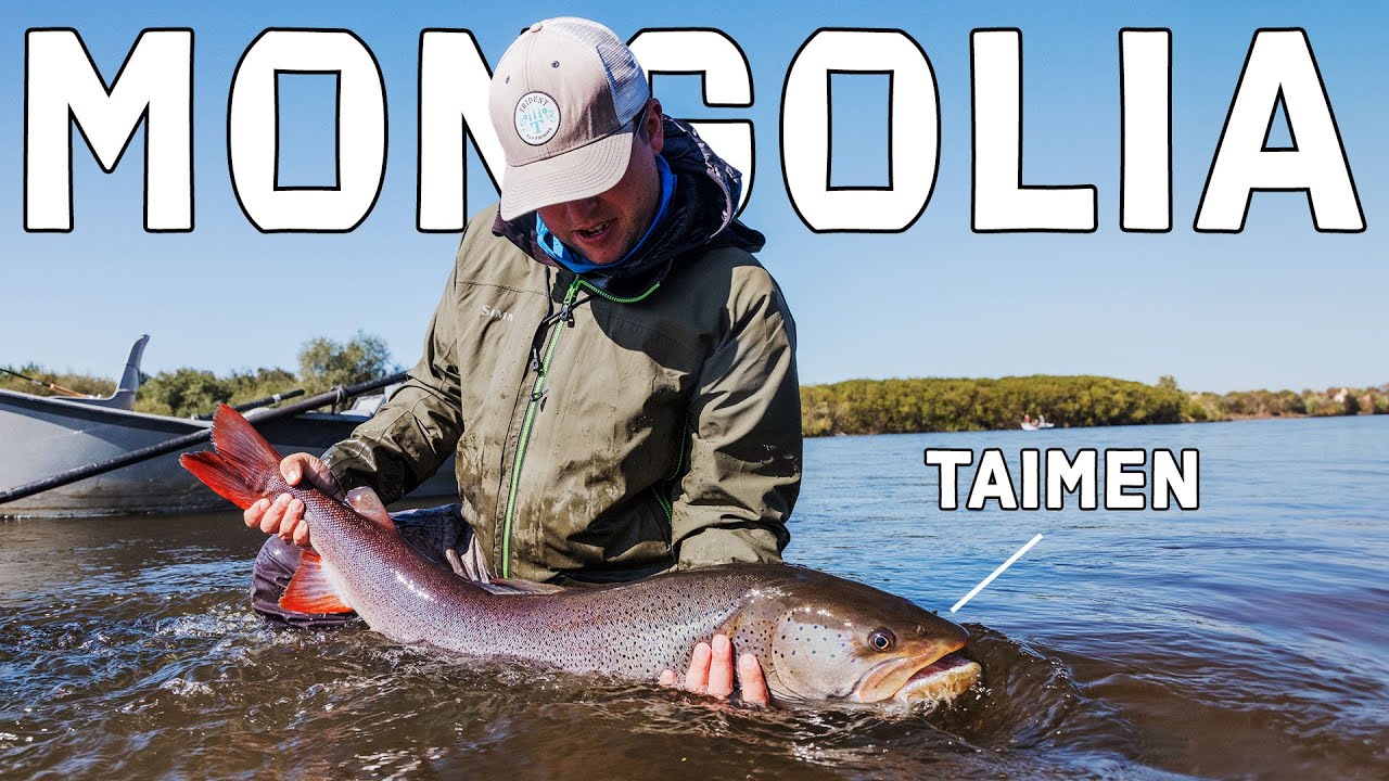 Fly-Fishing-Mongolia-TAIMEN-The-World39s-Largest-Salmonid