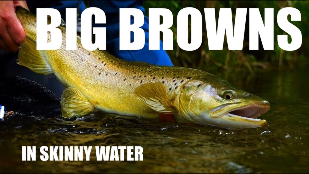 Fly-Fishing-SMALL-STREAM-Big-Brown-Trout-in-Skinny-Water-Shallow-Dropper-Nymphs-amp-Sight-fishing