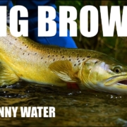 Fly-Fishing-SMALL-STREAM-Big-Brown-Trout-in-Skinny-Water-Shallow-Dropper-Nymphs-amp-Sight-fishing