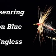 Leisenring-Iron-Blue-Wingless-Flymph-Wet-Fly-Soft-Hackle