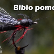 Bibio-pomonae-Flugbindning-Svenskaflugor.se