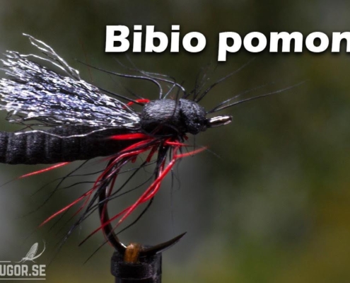Bibio-pomonae-Flugbindning-Svenskaflugor.se